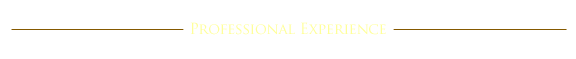 Professional Experience